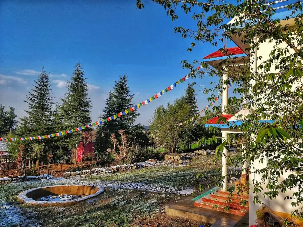 The Bunker Hostel - Dharamkot