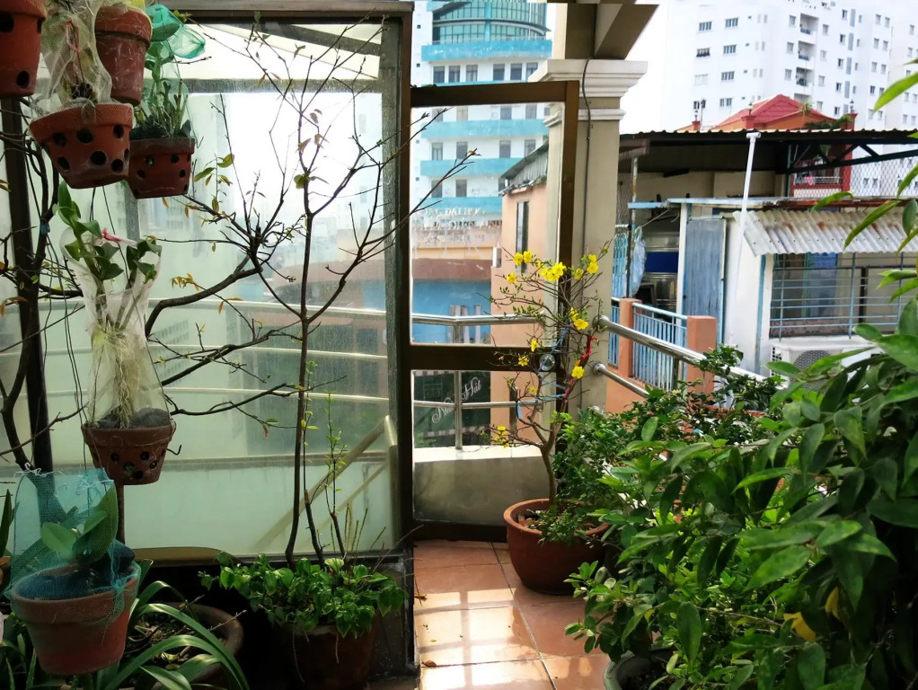 Banana Leaf Hotel