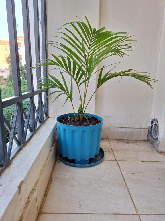 Stylish 1Br Apartment In Kisumu: Fast Wi-Fi, Netflix, Secure Parking