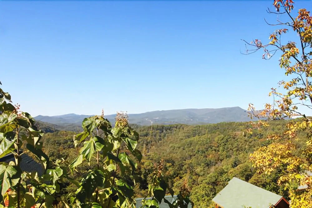 Hullabaloo - Four Bedroom Cabin