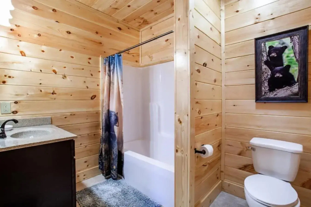 Swimming Bears Lodge Two Cabins with Pools and HotTubs