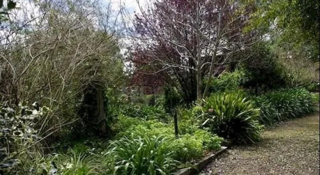 Quince Cottage