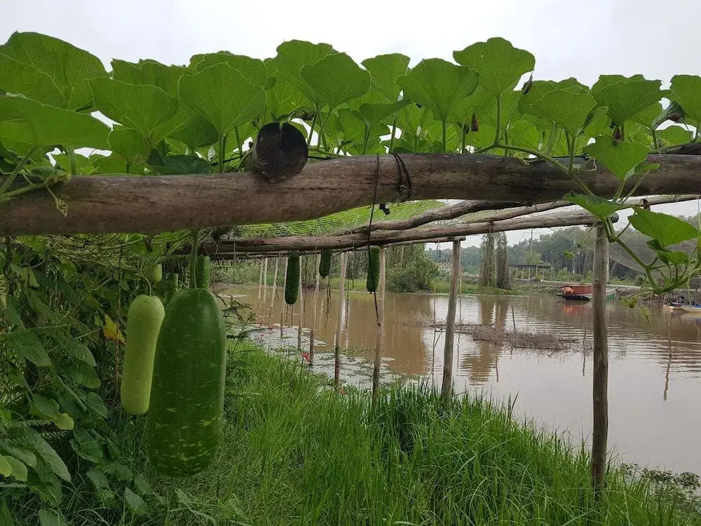 Lang Noi Tan Lap Hotel