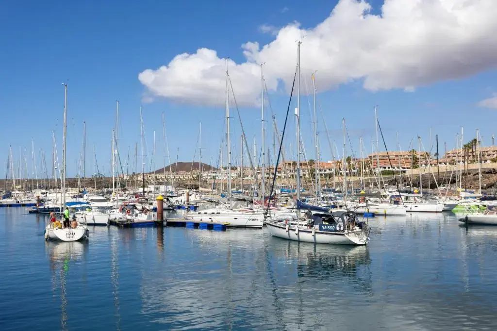 Oceanfront Tenerife South Albatros 270