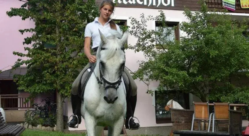 Altachhof Hotel und Ferienanlage - Jokercard im Sommer inklusive