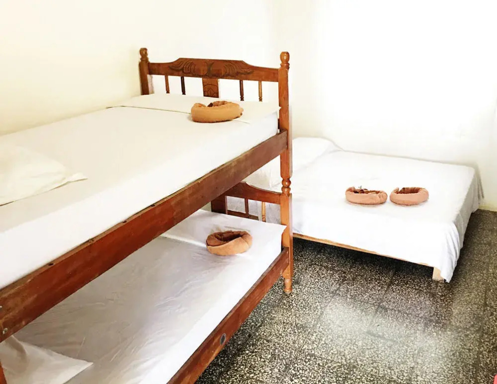 Tsunami Hostel