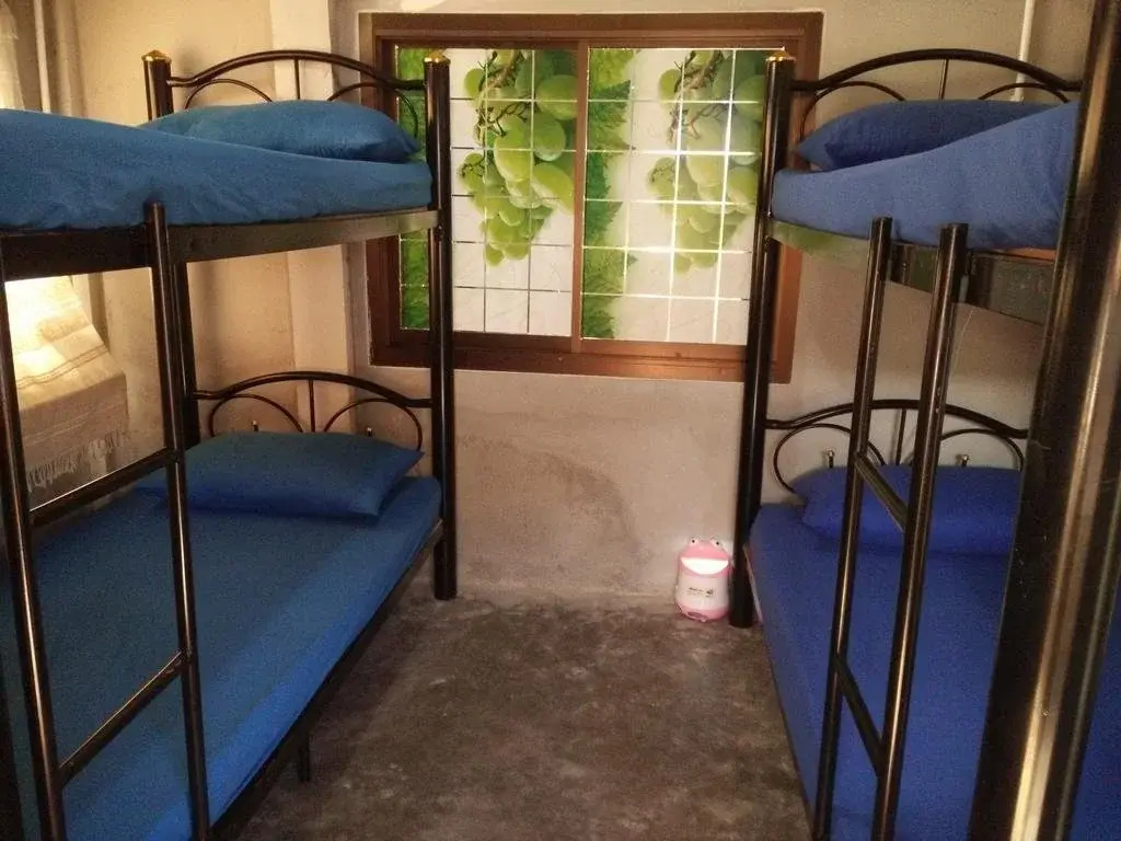Dream Cat-Cher Hostel
