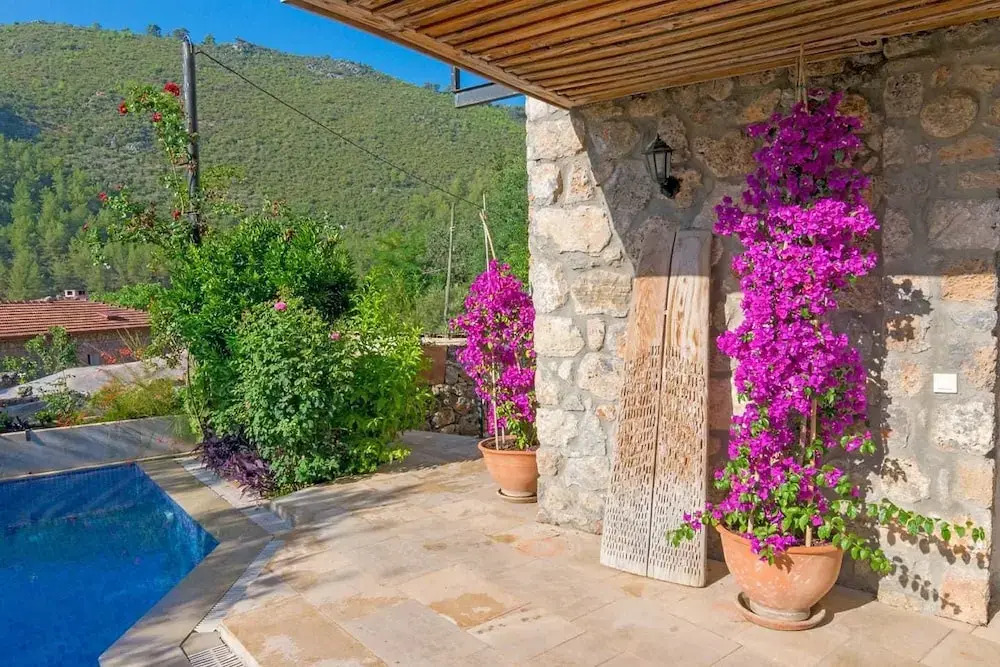 Limon Evi