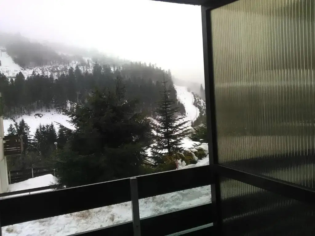 Appartement A La Bresse Hohneck