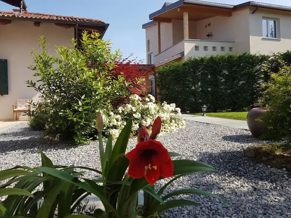 La Rosa Gialla Bio Apartments & rooms