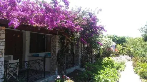 The Garden