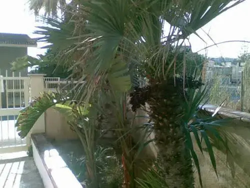 Casa Elisabetta