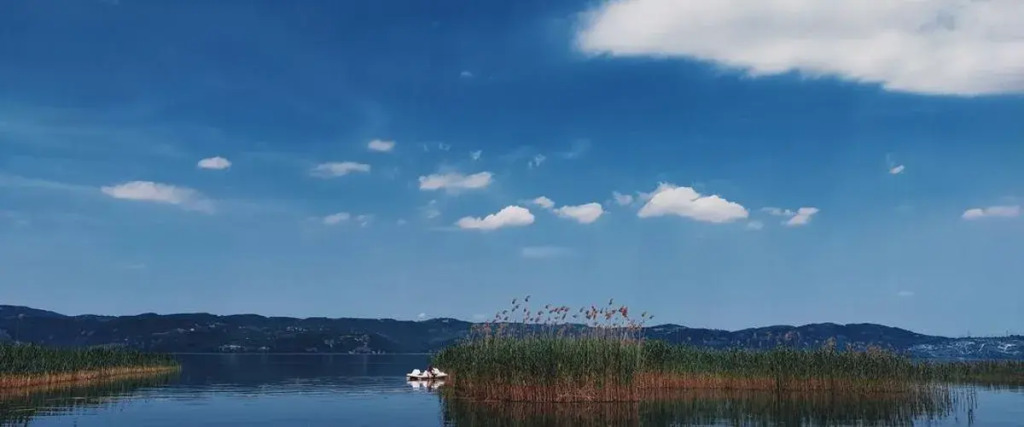 Alcedo Bungalov