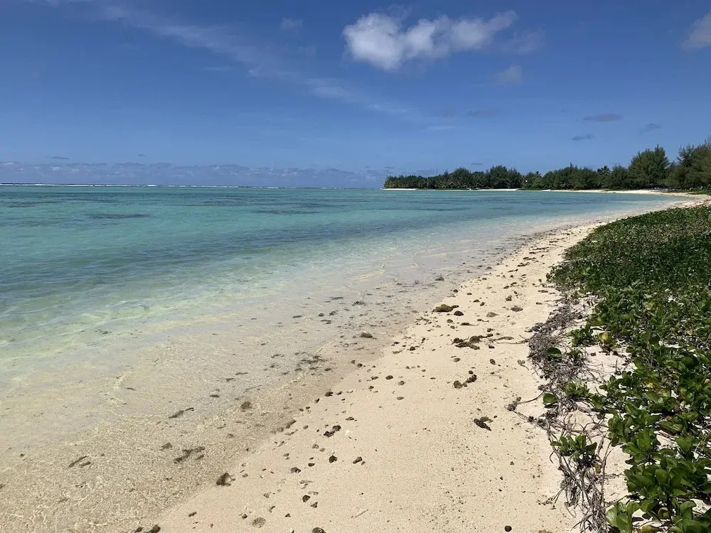 Panama Beachfront Apartments Rarotonga