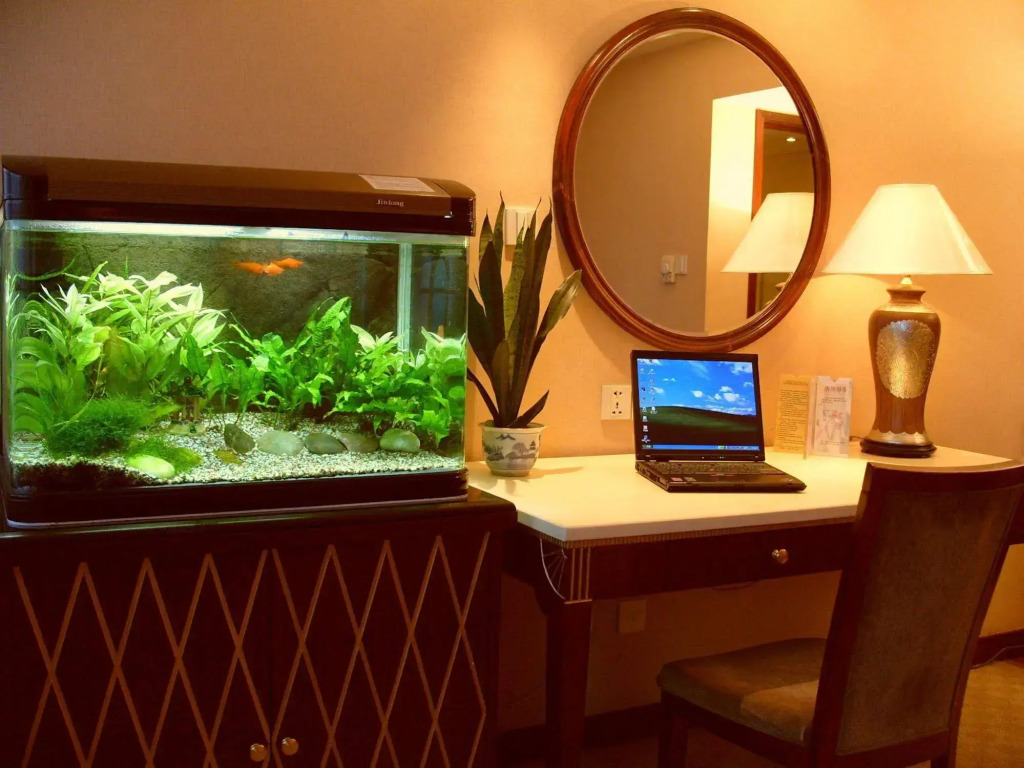 Enjoyor Hotel