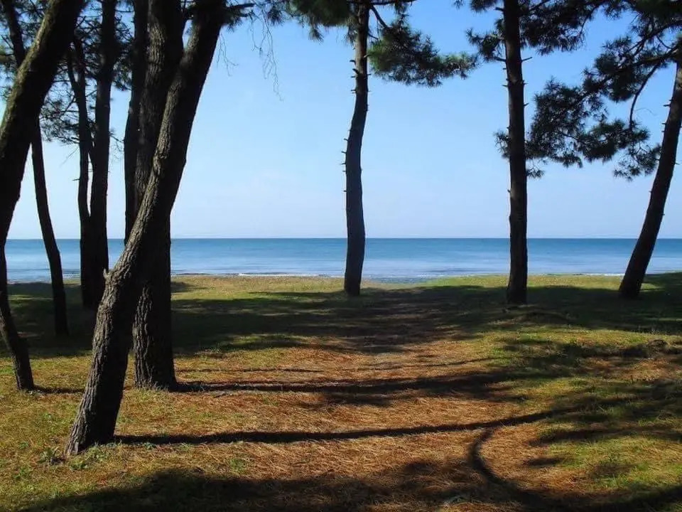Sea & Sun Grigoleti