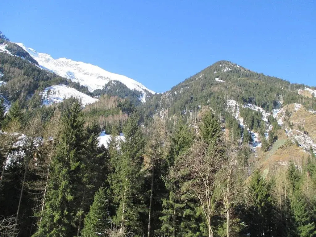 Bamerhof