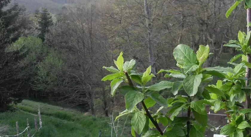 Il rifugio di betta