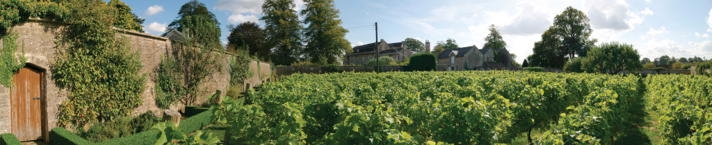 Leigh Park Country House Hotel  Vineyard, Bwsc