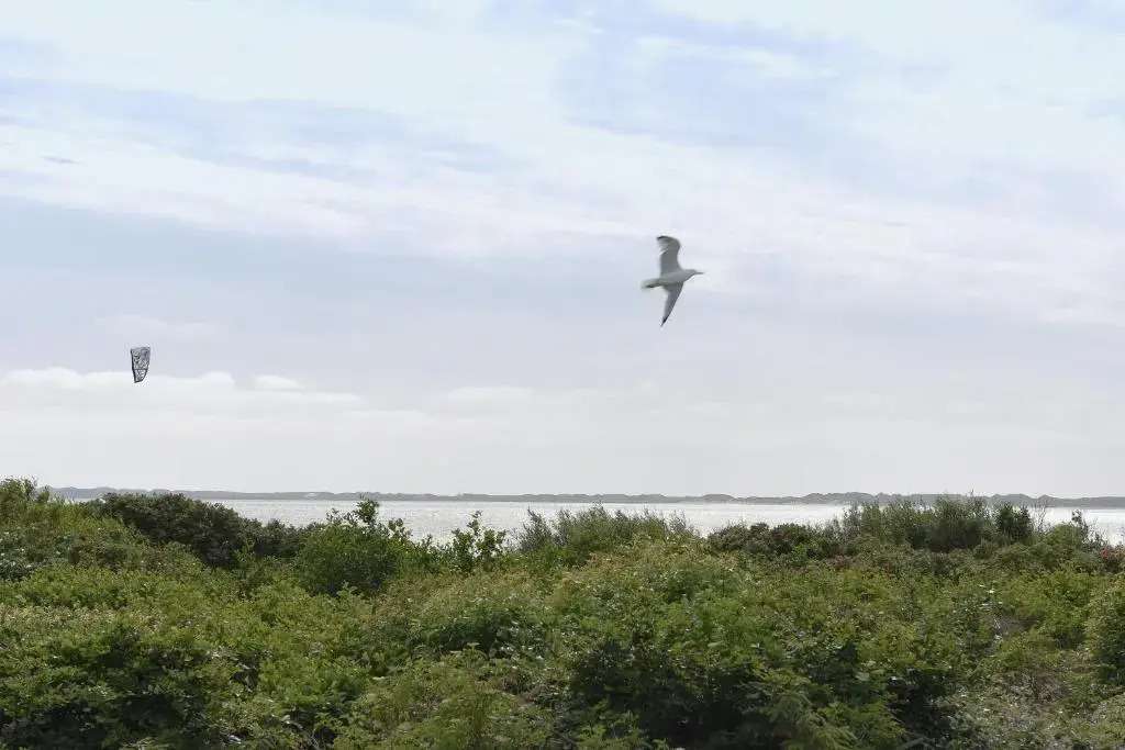 Surfbude 02