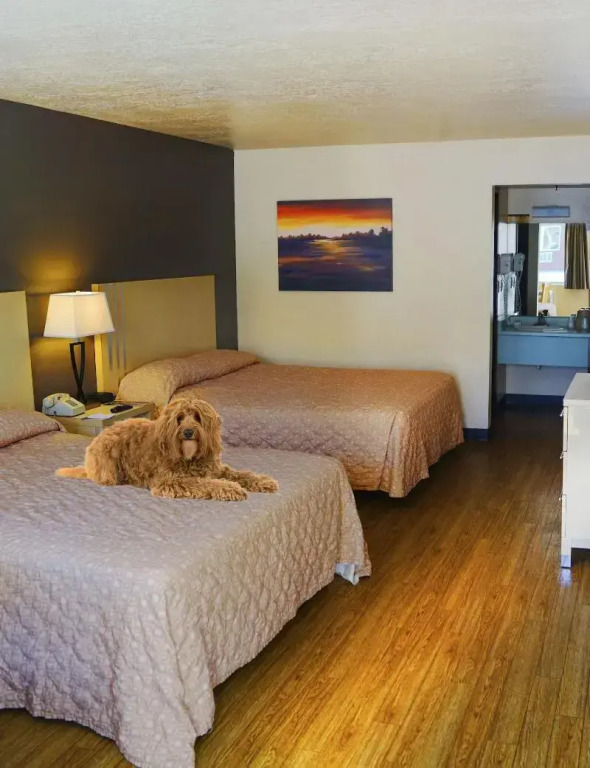 Virgin River Casino and Lodge