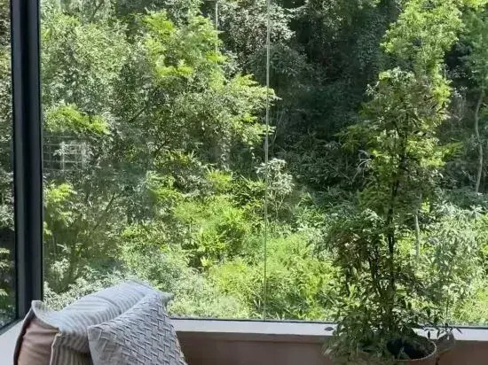 Отель Yangshuo Guan Yue Hotel