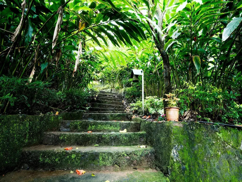 OYO 9802 Parakkat Plantation Resort
