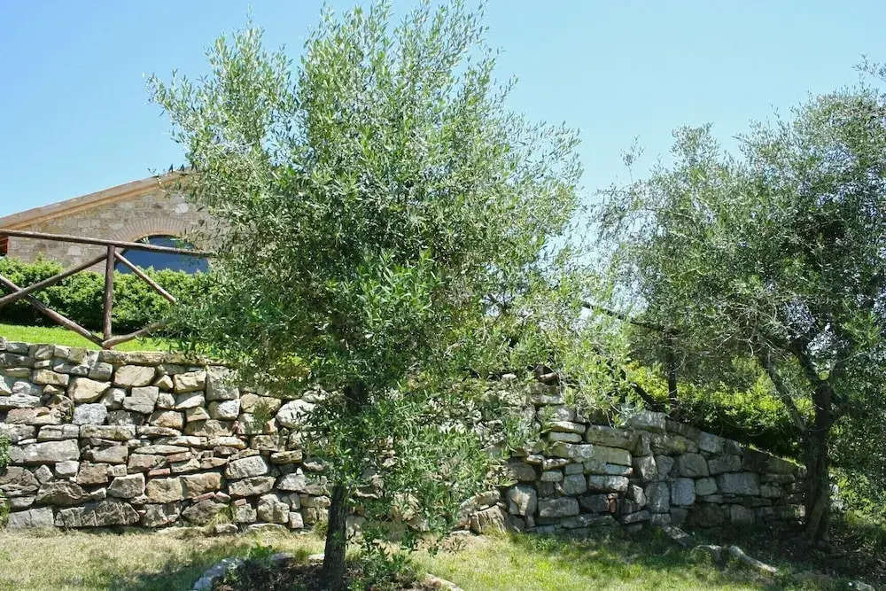 Villa Orizzonte - Homelike Villas