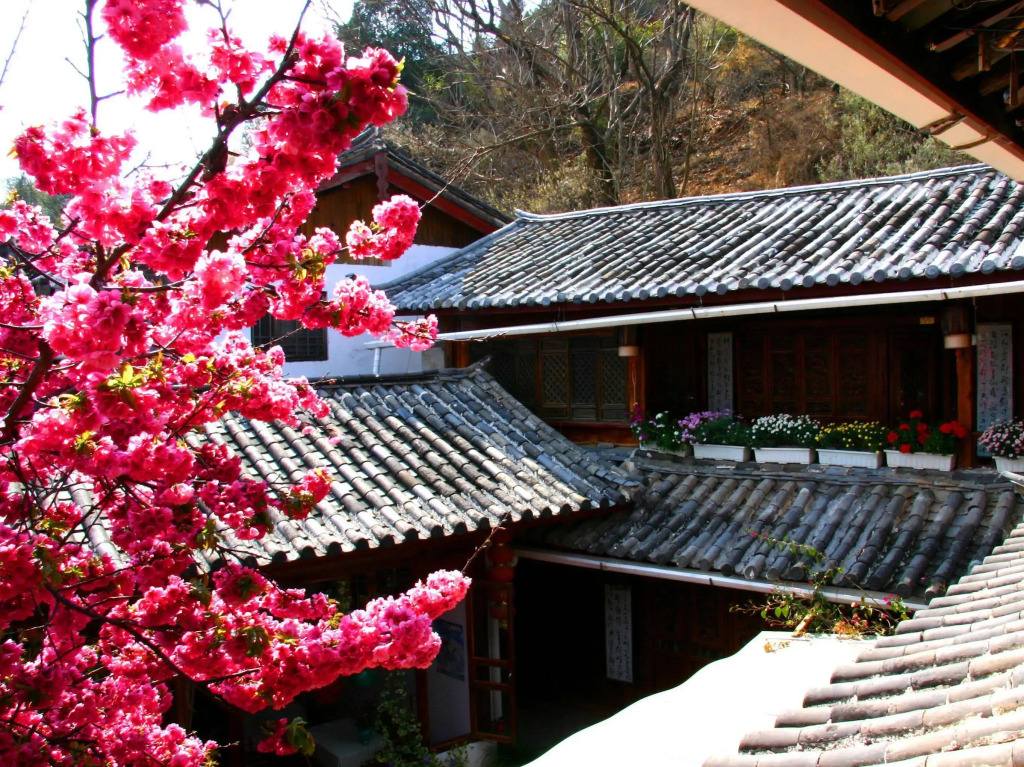 Lao Shay Youth Hostel Lijiang