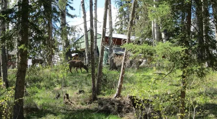 Tall Timbers Resort