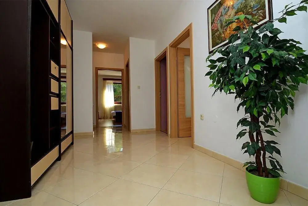 House Adrijana
