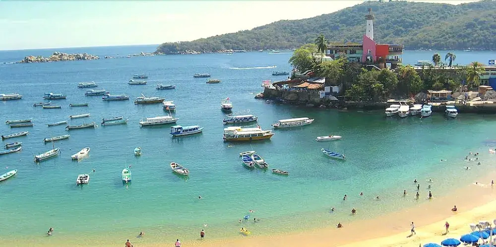 Acapulco Amor
