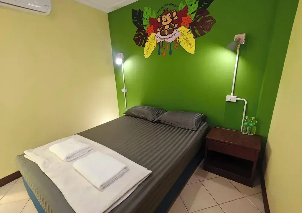 The Funky Monkey Hostel - 18 to 40 years old only