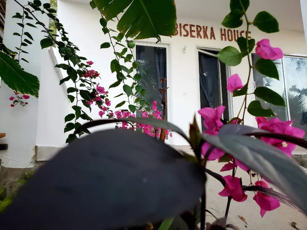 Biserka House