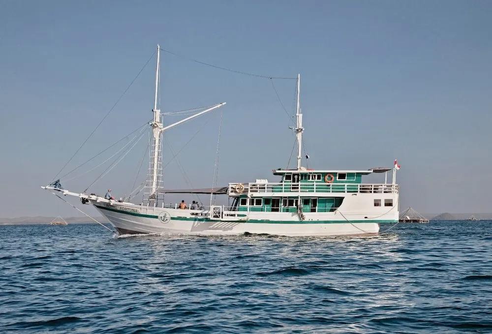 Royal Fortuna