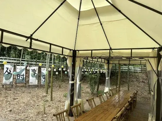 Wild Wind Starry Sky Bubble House Hotel