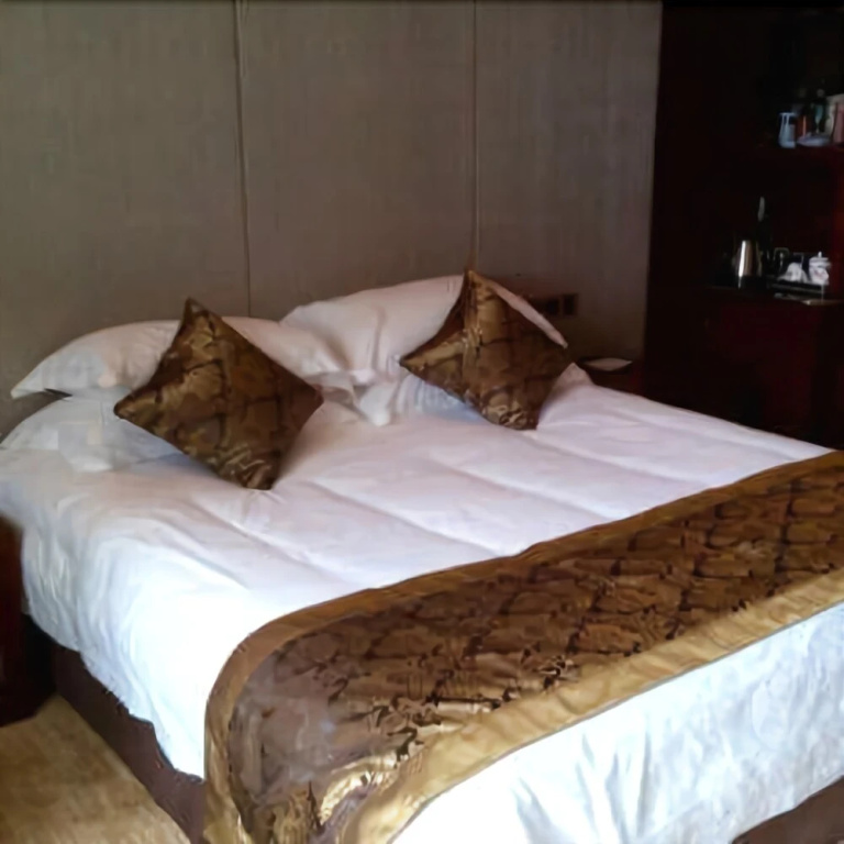 Qinglong Hotel Yichun