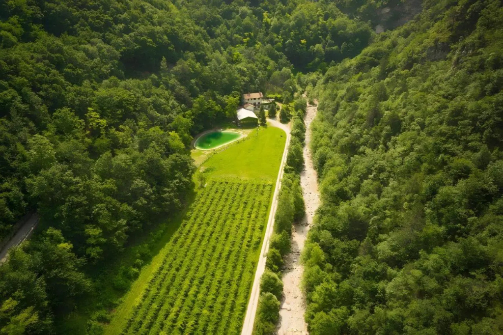 Agriturismo Maso Rocca