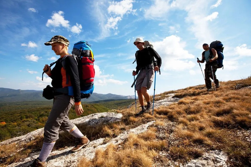 The Wilderness Way Adventure Resort