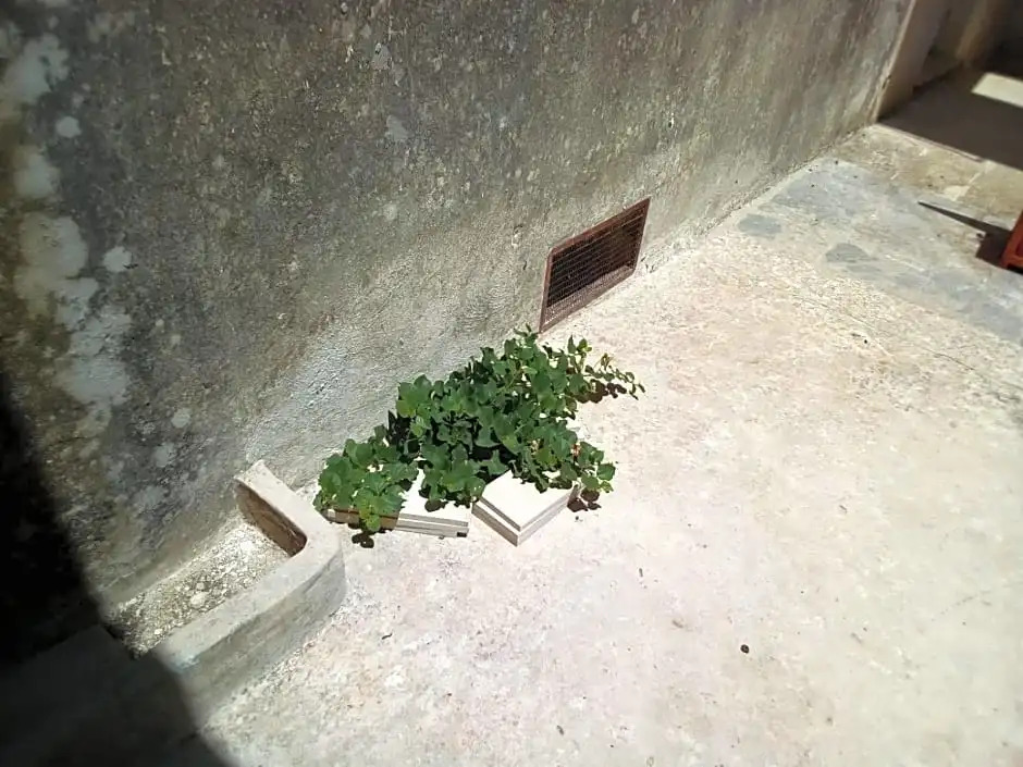 Cortile Calinea