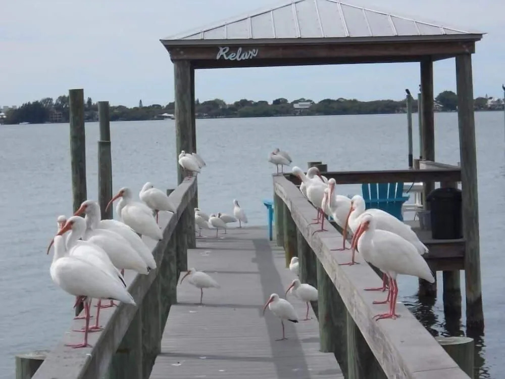 Paradise Cove on Lemon Bay