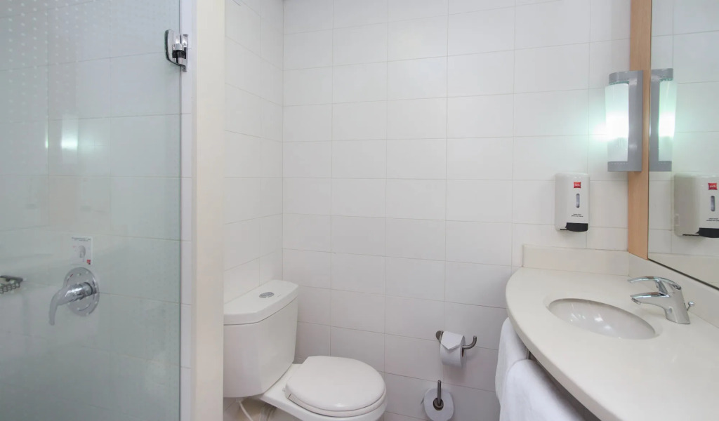 ibis Medellin
