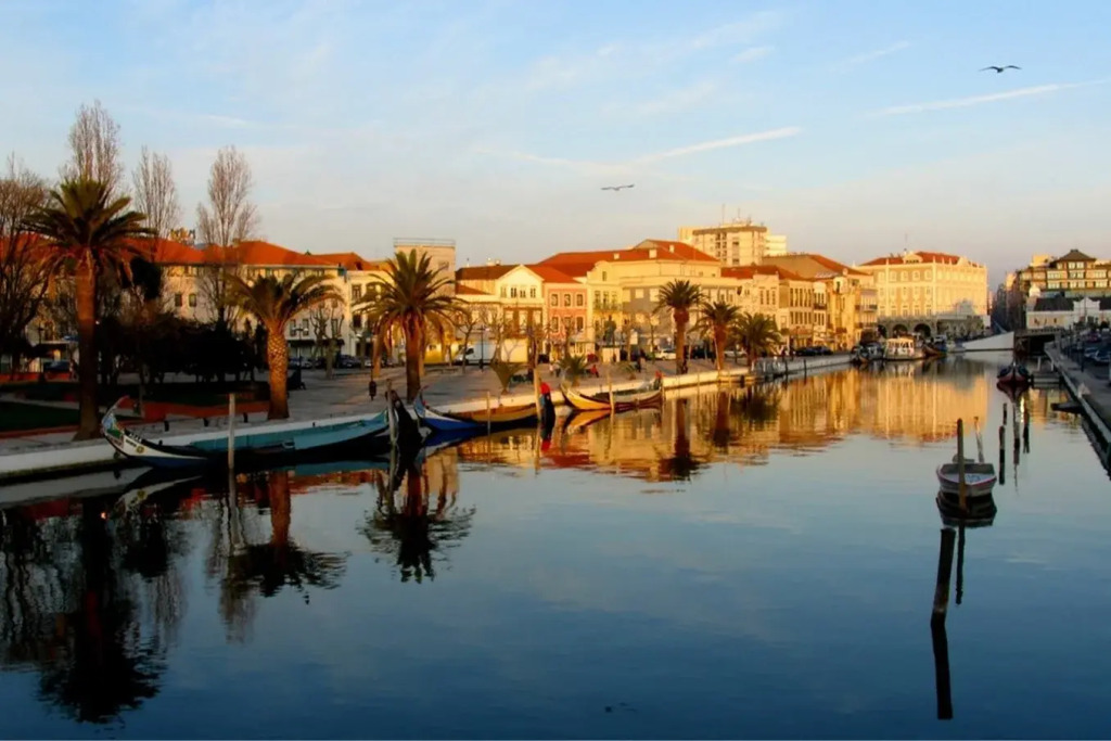 Hotel Moliceiro