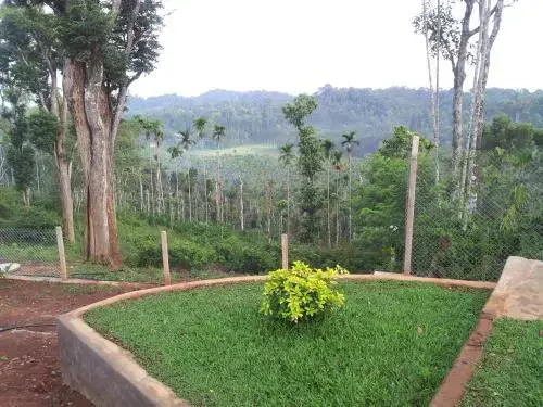 Whispering Woods ( office)