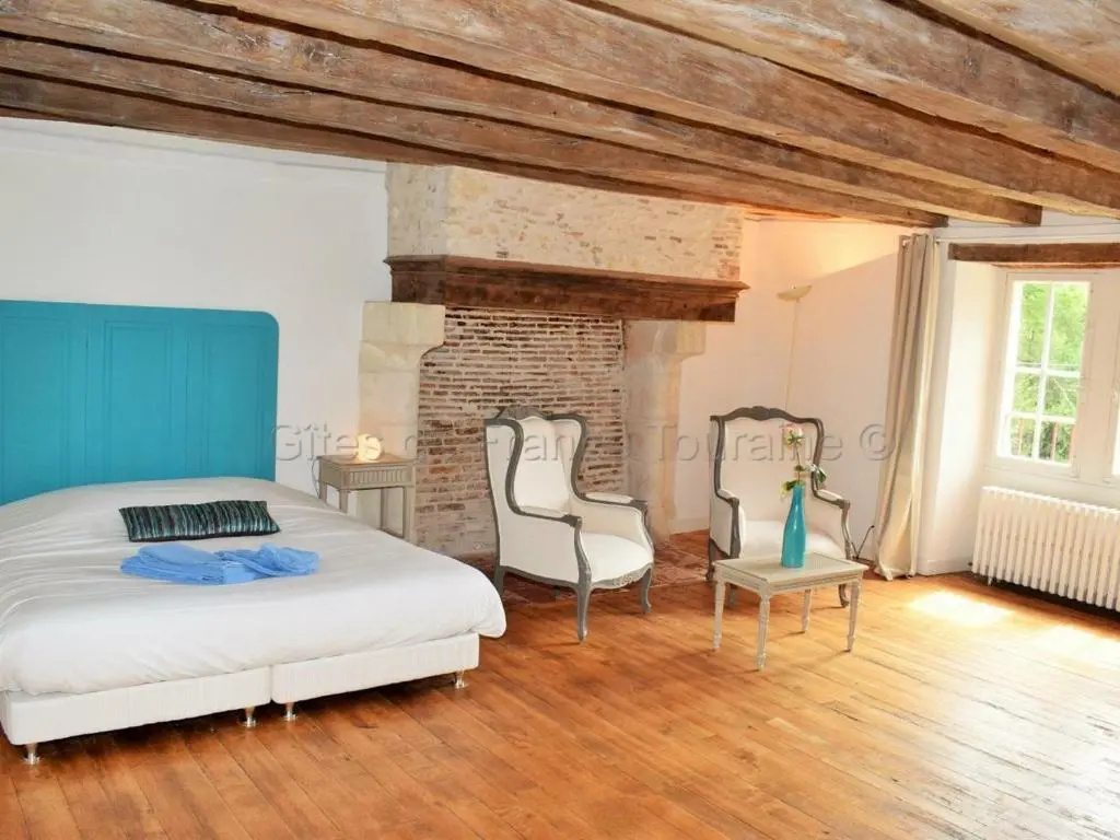 Élégante Demeure 17e avec Spa, Sauna et Authentique Cheminée, proche Châteaux de la Loire - FR-1-381-348