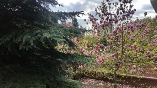 Apartament Magnolia
