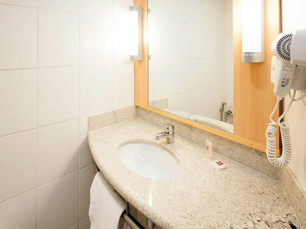 ibis Campo Grande
