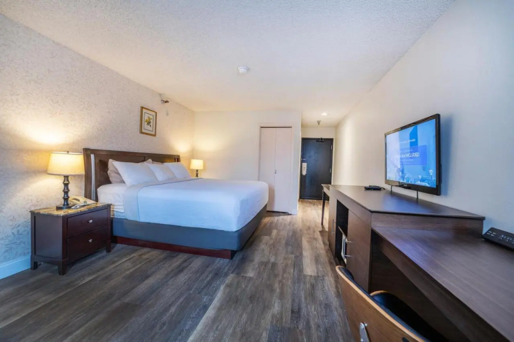 Hotel International