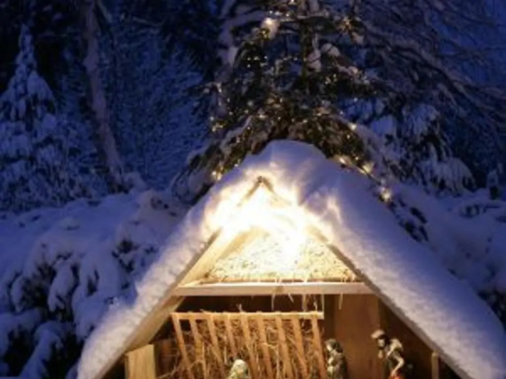 Gîte chaleureux à Provenchères-sur-Fave, nature et confort - FR-1-589-224