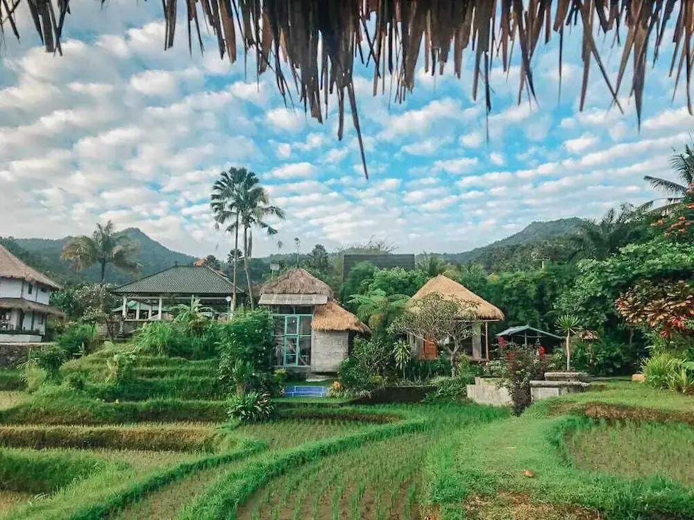 Pondok Apsari 2